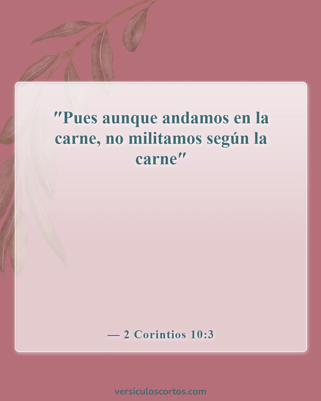 Versículos bíblicos sobre el cristiano carnal (2 Corintios 10:3)