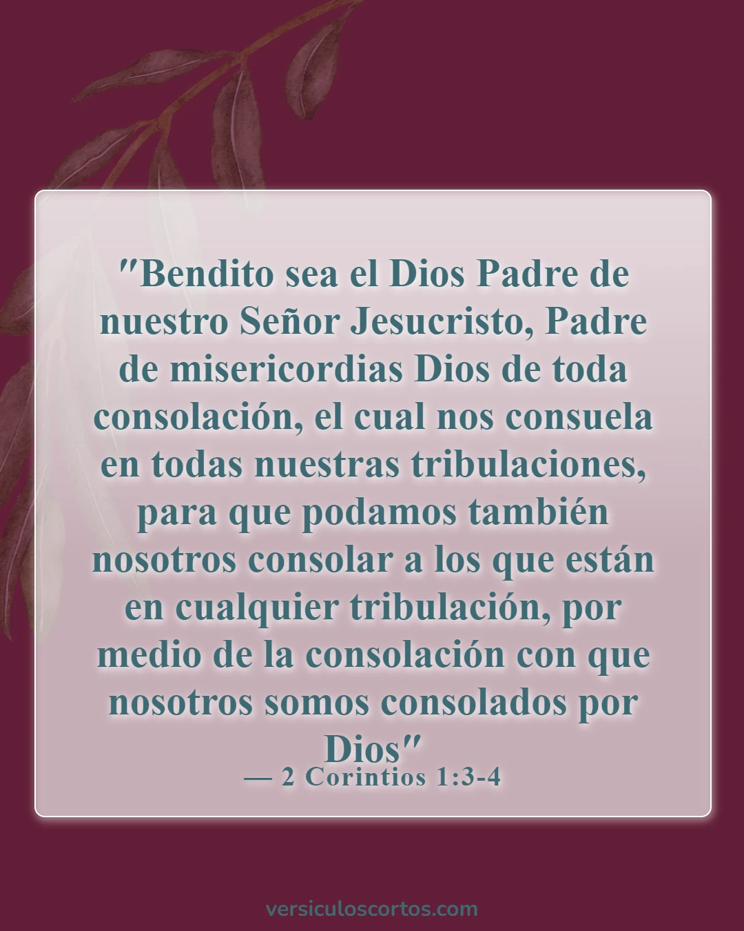 Versículos de la Biblia sobre el luto (2 Corintios 1:3-4)