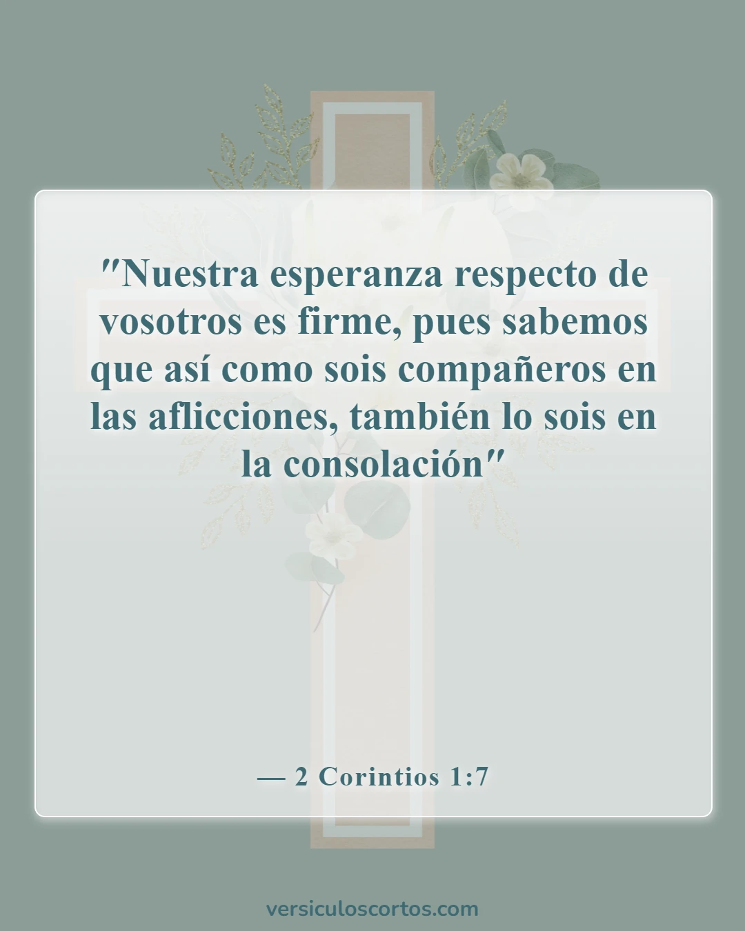 Versículos de la Biblia sobre la aflicción (2 Corintios 1:7)