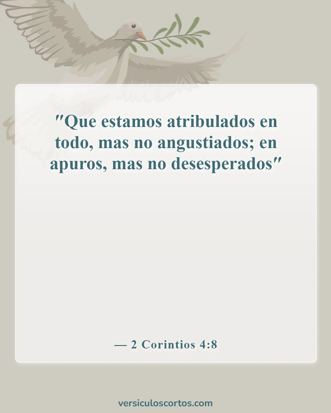 Versículos de la Biblia sobre las personas que te lastiman (2 Corintios 4:8)