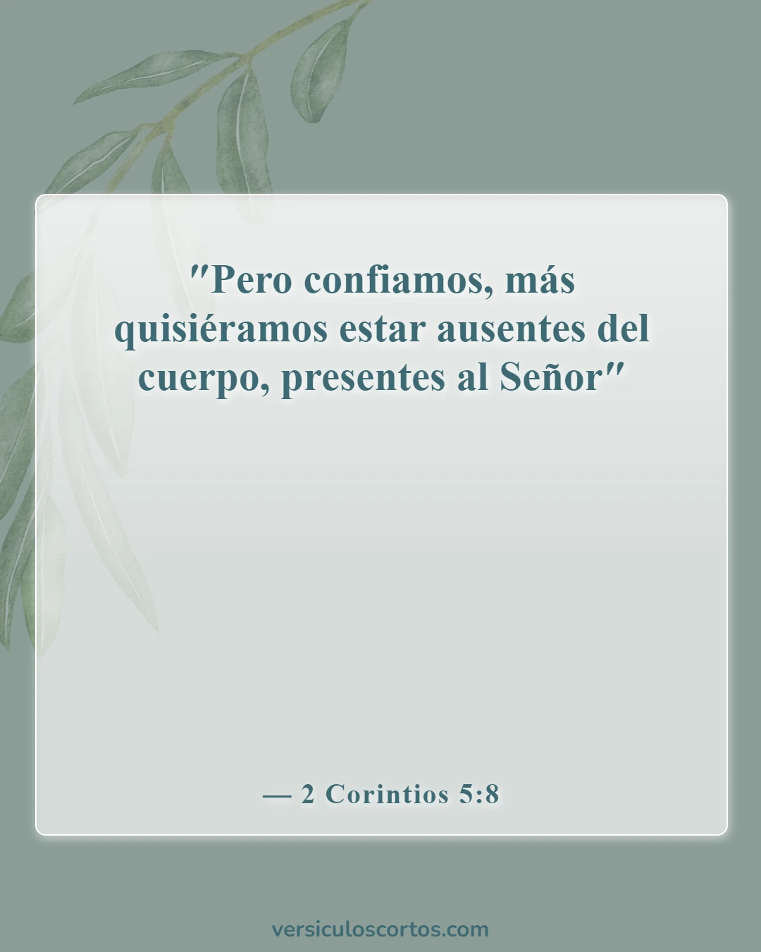Versículos de la Biblia sobre la muerte de un amigo (2 Corintios 5:8)