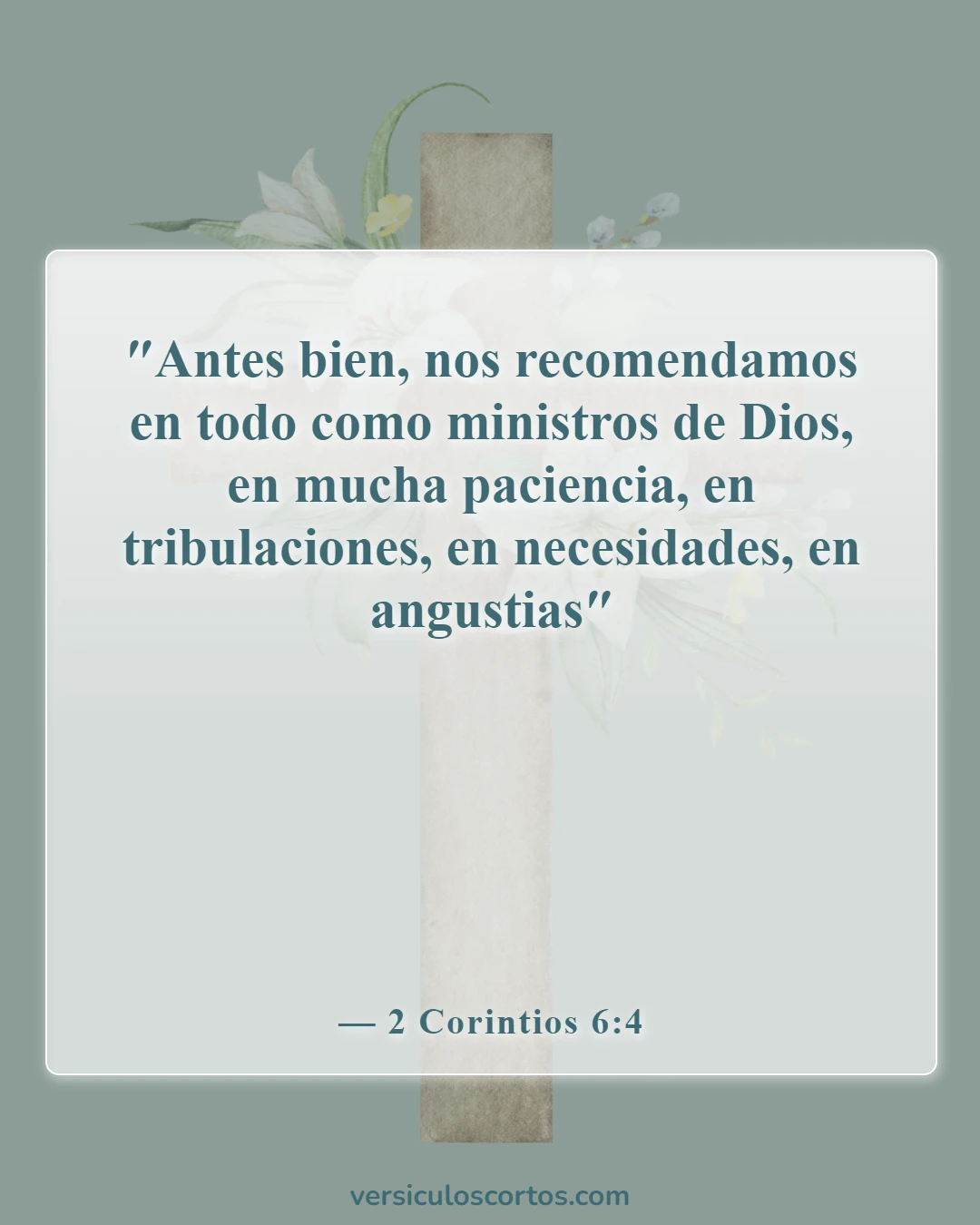 Versículos de la Biblia sobre el pastor (2 Corintios 6:4)