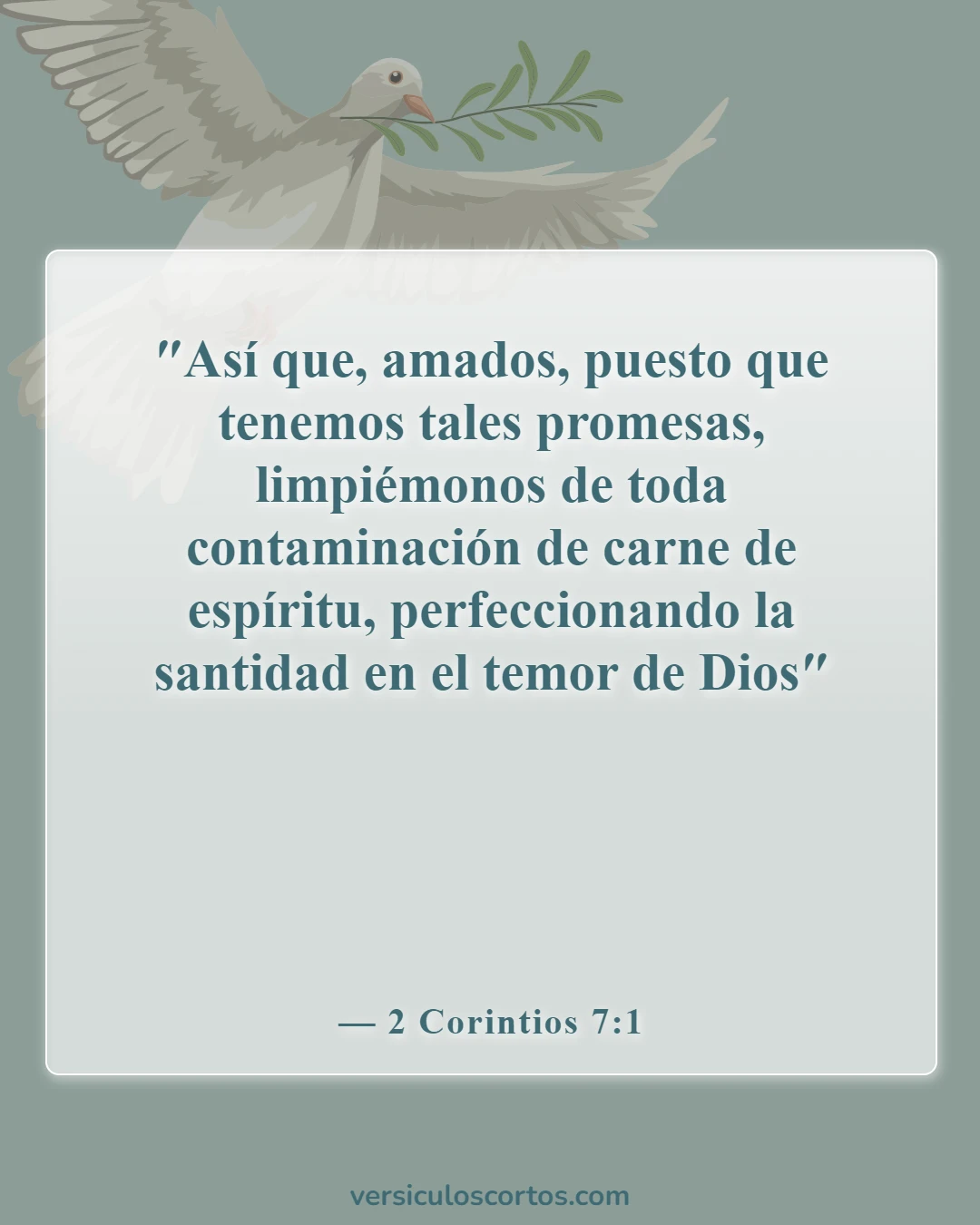 Versículos de la Biblia sobre salir con un no creyente (2 Corintios 7:1)