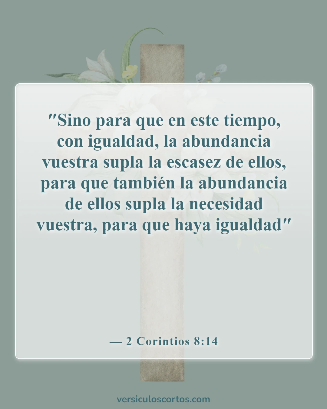 Versículos de la Biblia sobre llevar las cargas de los demás (2 Corintios 8:14)