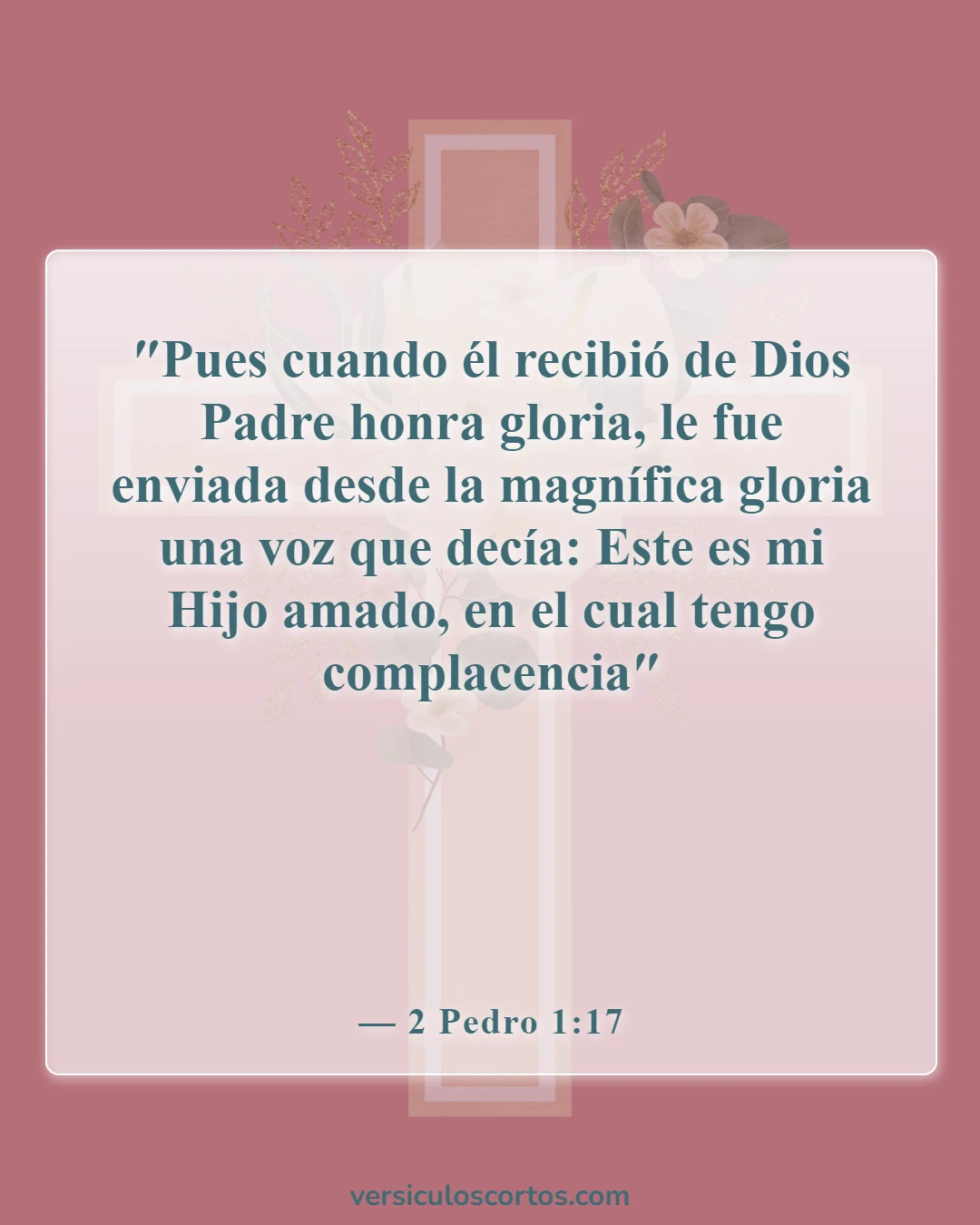 Versículos de la Biblia sobre el Hijo de Dios (2 Pedro 1:17)