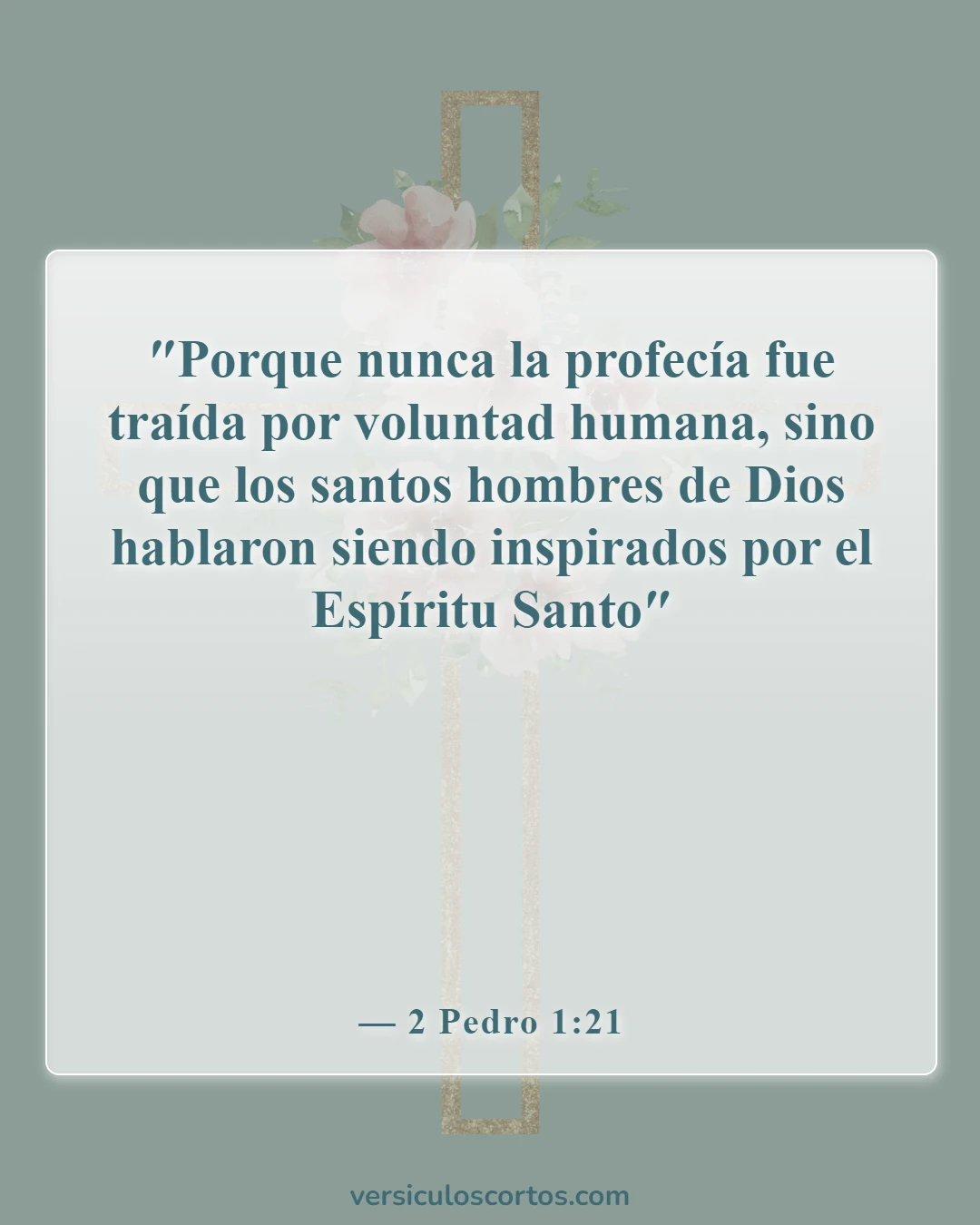 Versículos de la Biblia sobre el hombre de Dios (2 Pedro 1:21)