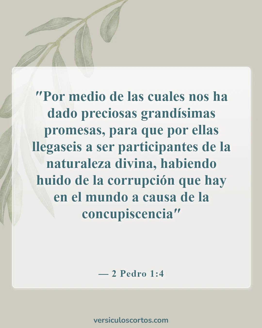 Versículos de la Biblia sobre salir con un no creyente (2 Pedro 1:4)