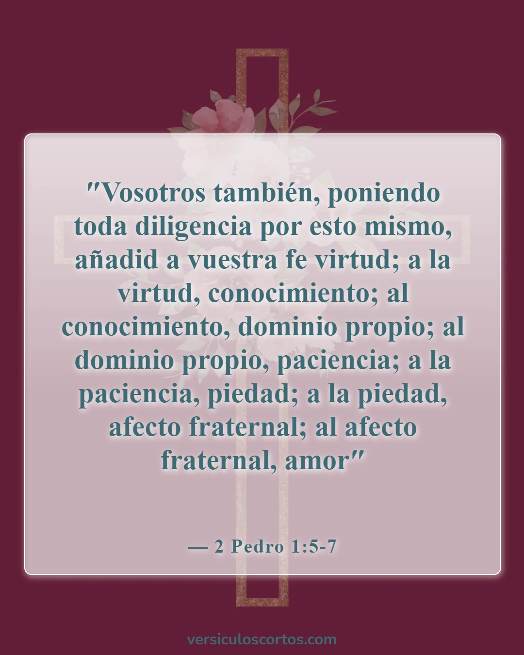 Versículos de la Biblia sobre la fe (2 Pedro 1:5-7)
