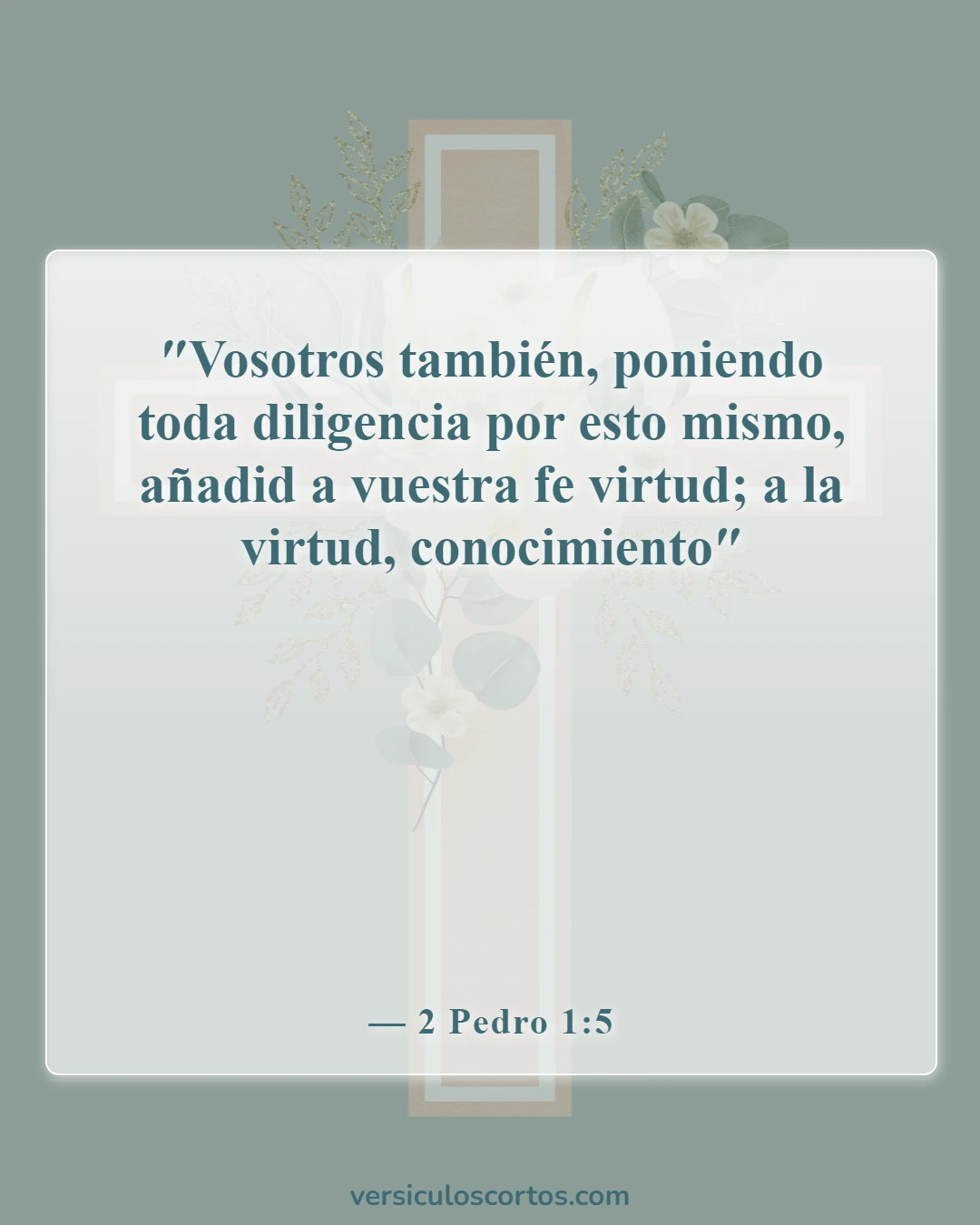 Versículos de la Biblia sobre la fe en Dios (2 Pedro 1:5)