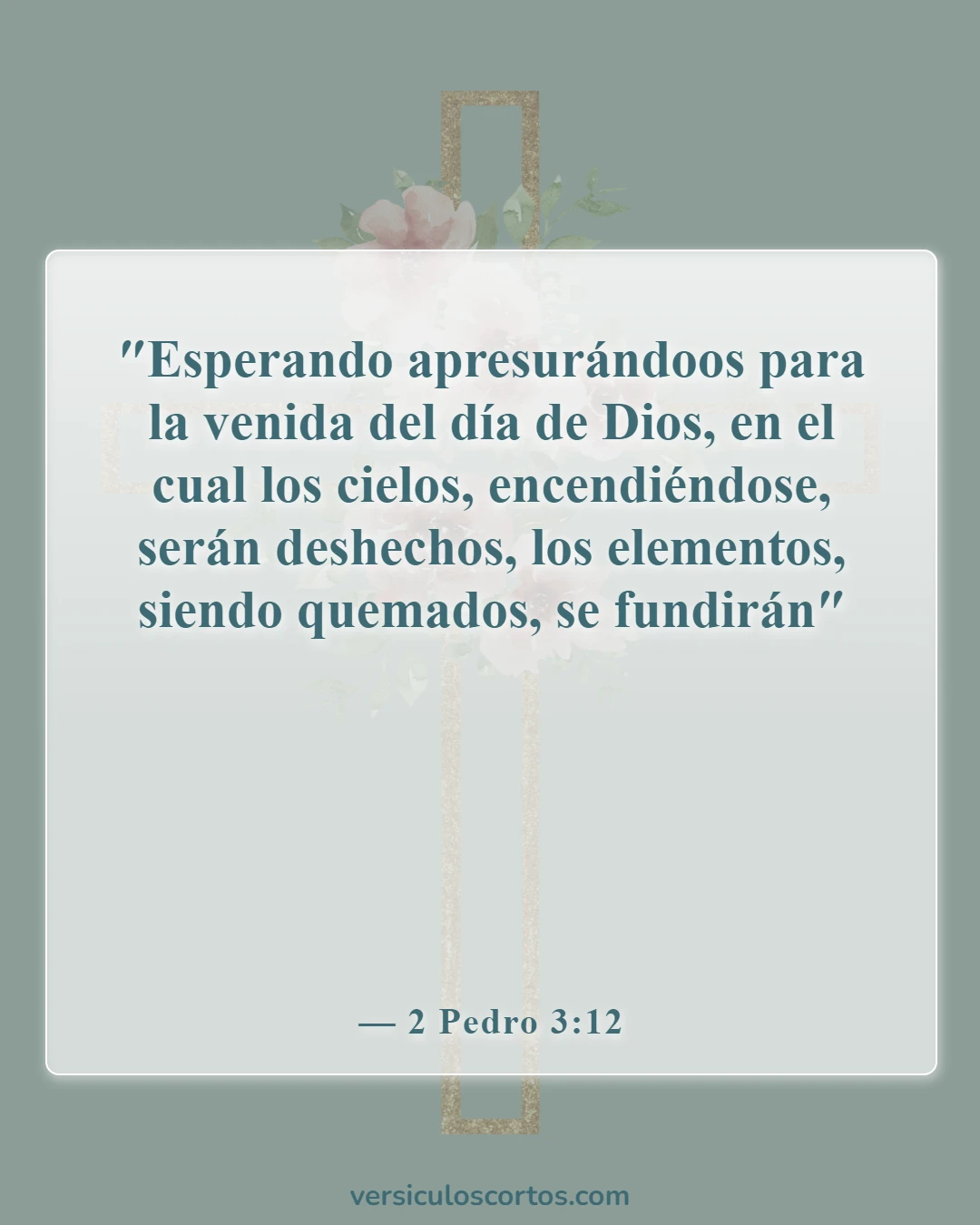 Versículos de la Biblia sobre la vuelta de Jesús (2 Pedro 3:12)