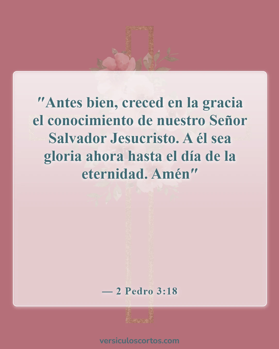 Versículos de la Biblia sobre salir con un no creyente (2 Pedro 3:18)