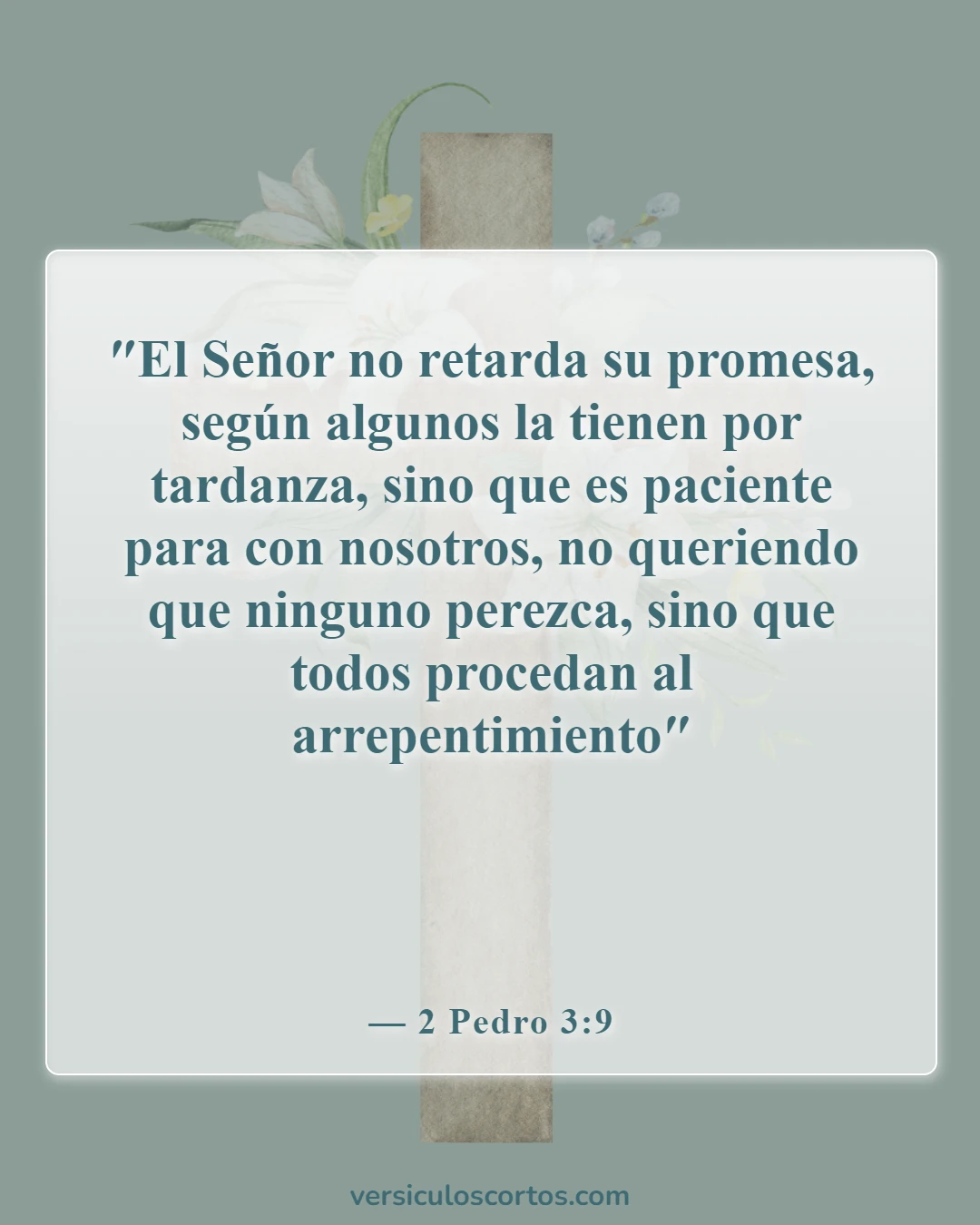 Versículos bíblicos sobre la salvación (2 Pedro 3:9)
