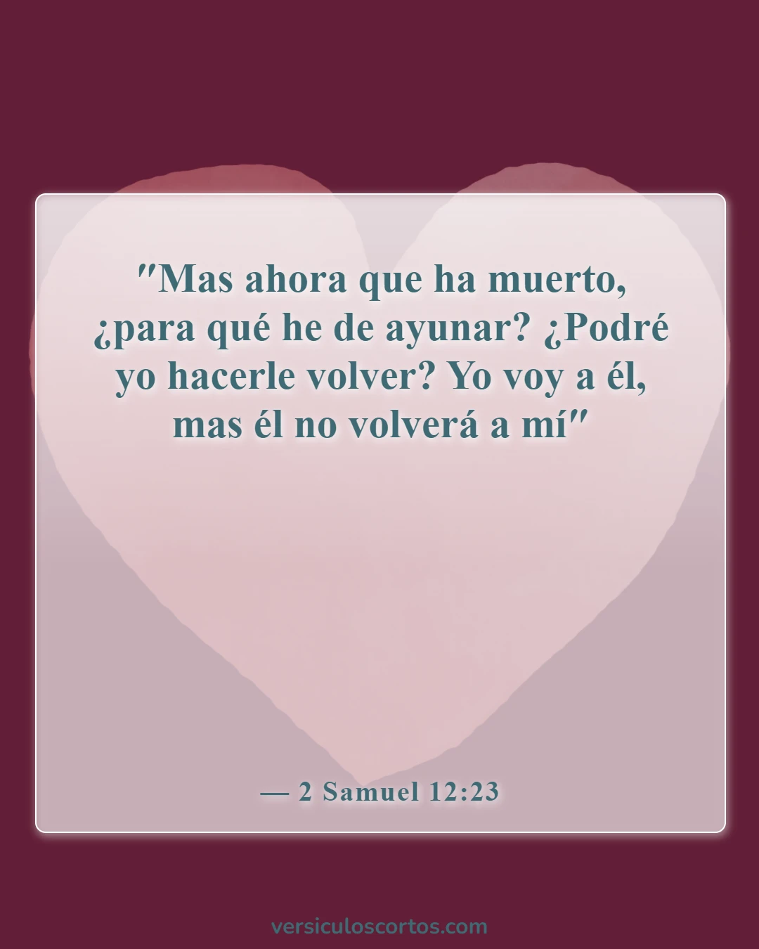 Versículos de la Biblia sobre la muerte de un amigo (2 Samuel 12:23)