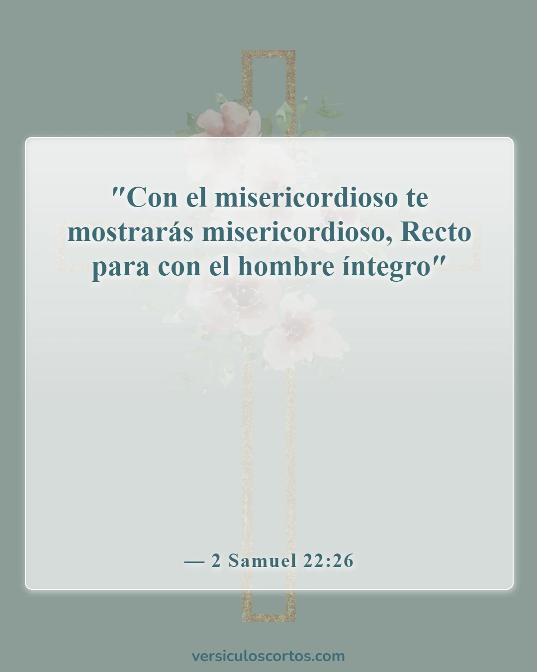 Versículos de la Biblia sobre la misericordia (2 Samuel 22:26)