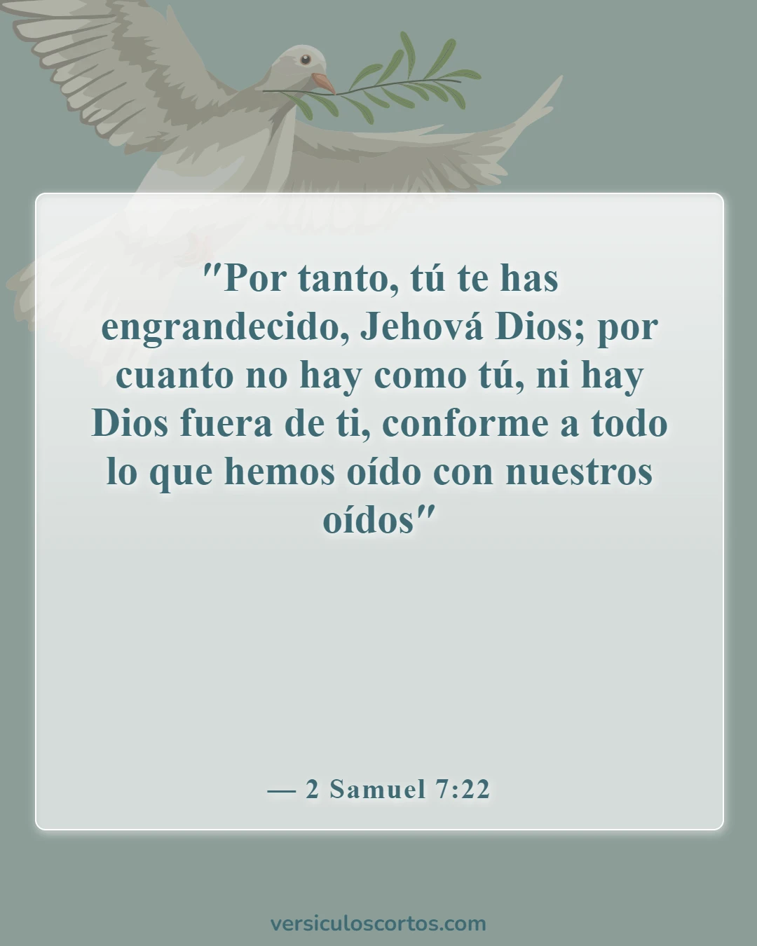 Versículos bíblicos sobre un solo Dios (2 Samuel 7:22)