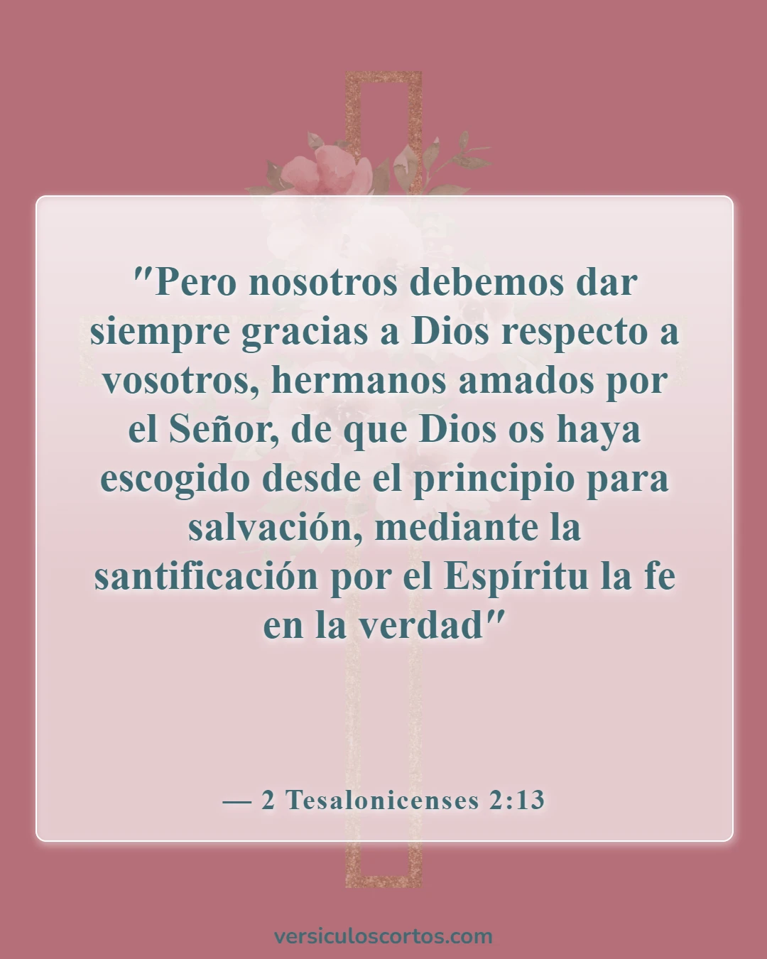 Versículos de la Biblia sobre los creyentes (2 Tesalonicenses 2:13)