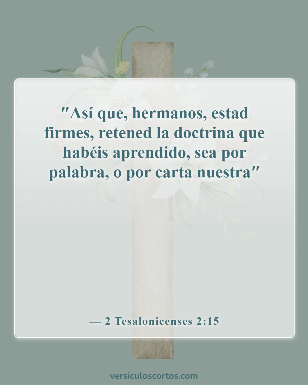 Versículos de la Biblia sobre seguir al hombre (2 Tesalonicenses 2:15)