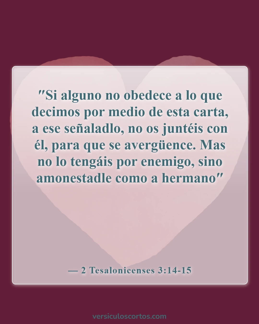 Versículos de la Biblia sobre el orden en la iglesia (2 Tesalonicenses 3:14-15)