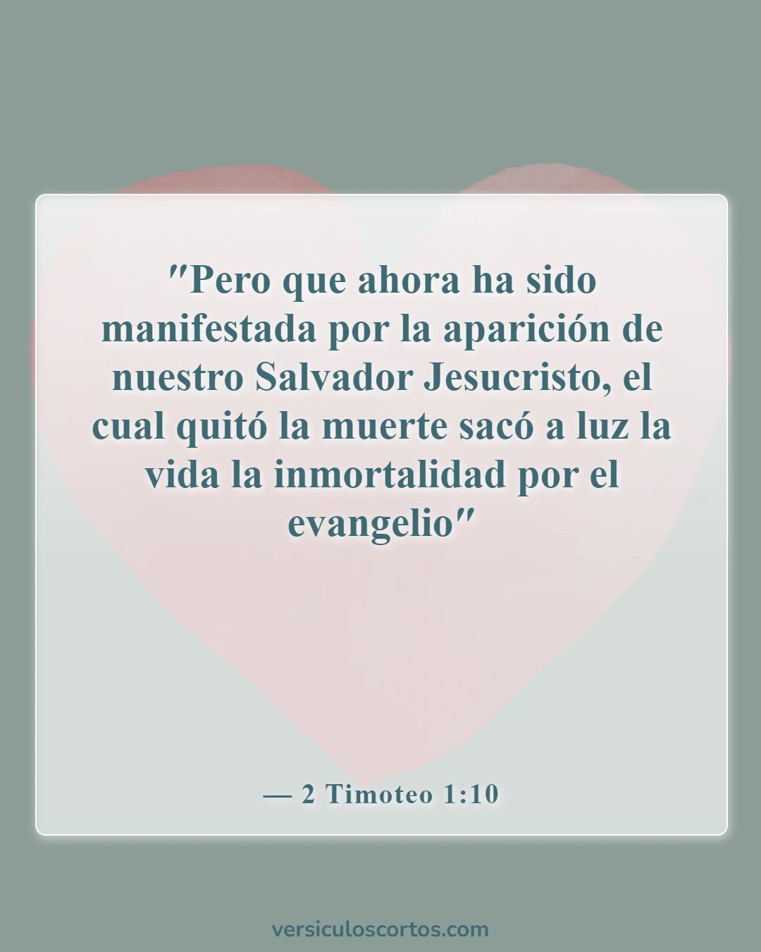 Versículos de la Biblia sobre la vida eterna (2 Timoteo 1:10)