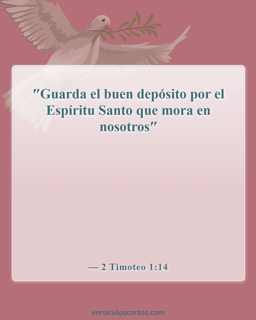 Versículos de la Biblia sobre recibir el Espíritu Santo (2 Timoteo 1:14)