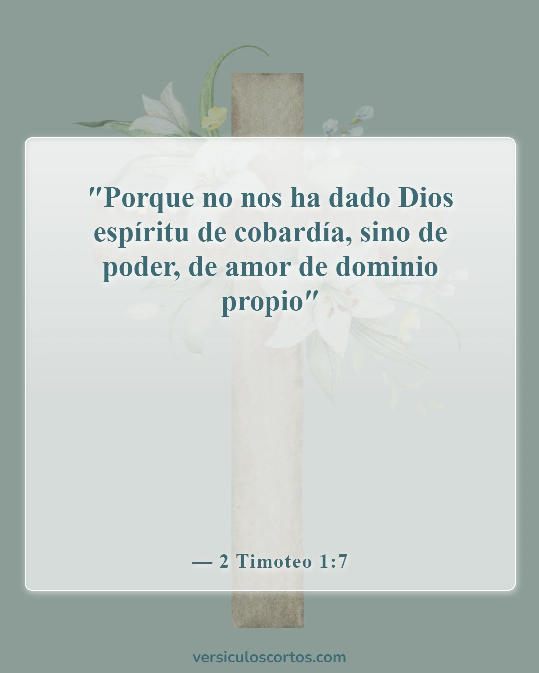 Versículos de la Biblia sobre la Apreciación de la Vida (2 Timoteo 1:7)