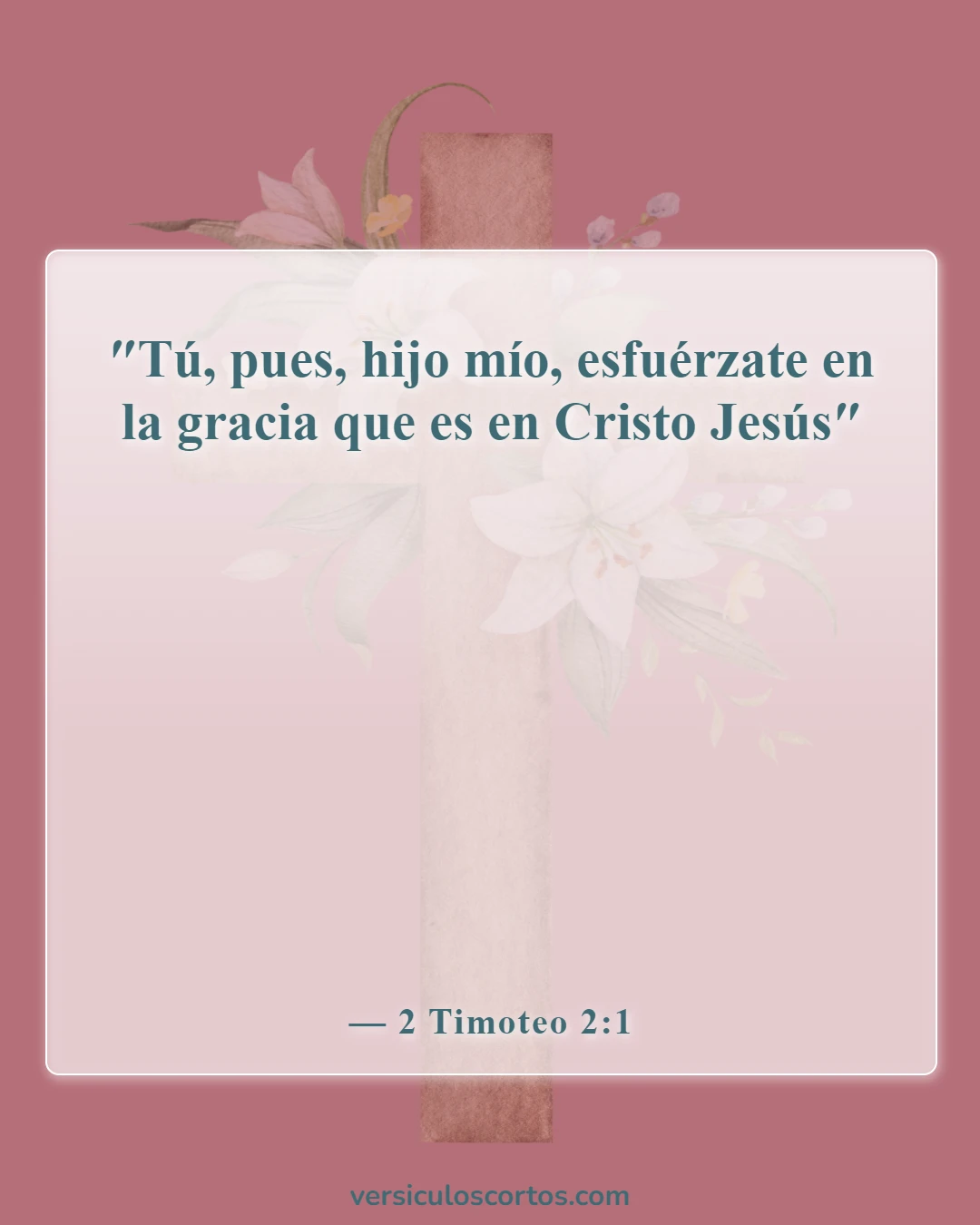 Versículos bíblicos sobre la vida abundante (2 Timoteo 2:1)