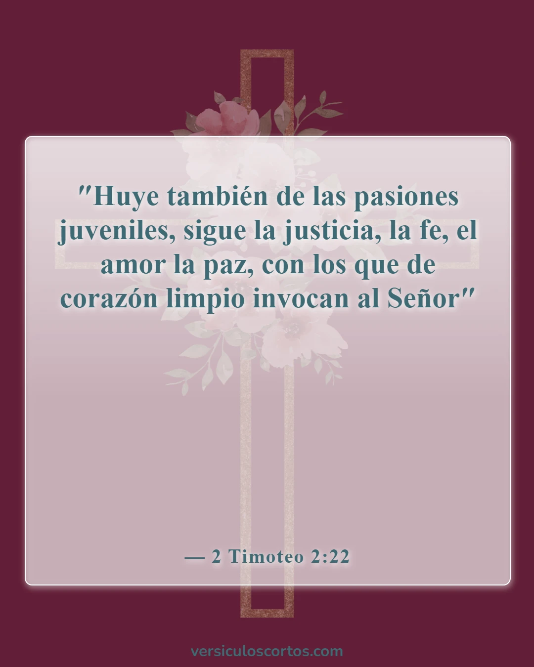Versículos de la Biblia sobre las tentaciones (2 Timoteo 2:22)