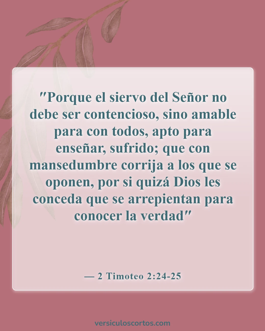 Versículos bíblicos sobre relaciones rotas (2 Timoteo 2:24-25)