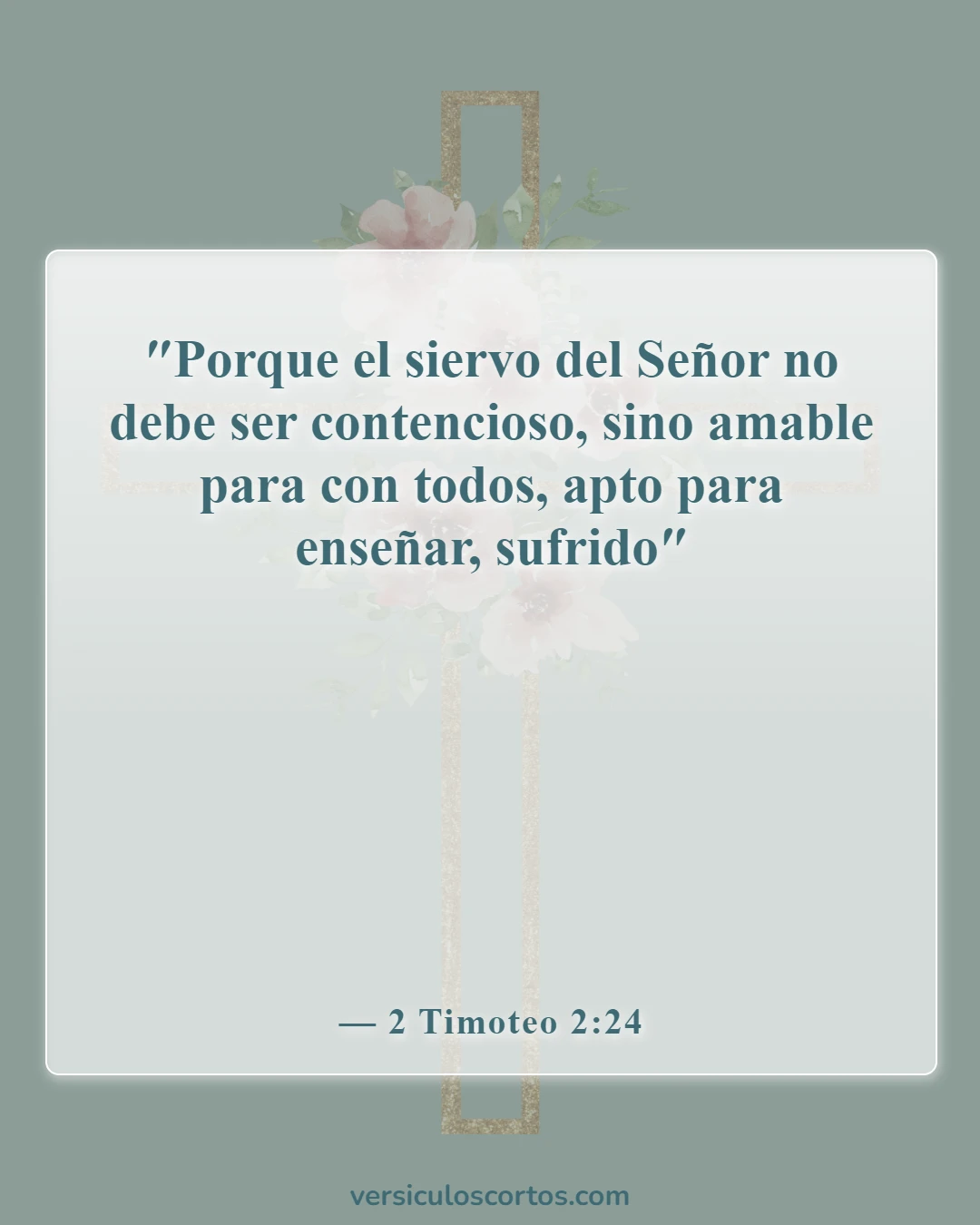 Versículos de la Biblia sobre perdonar a tus enemigos (2 Timoteo 2:24)