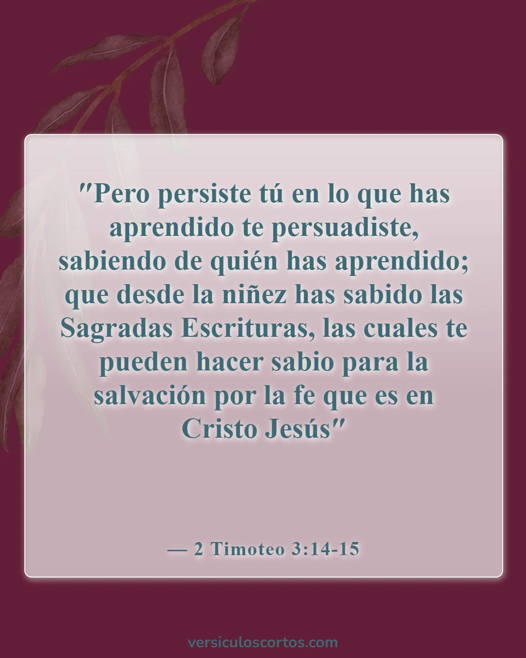 Versículos de la Biblia sobre el cuidado de los padres ancianos (2 Timoteo 3:14-15)