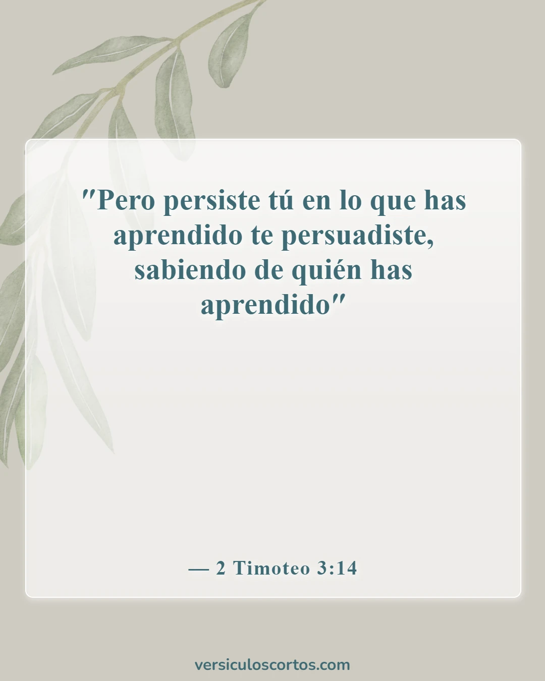 Versículos bíblicos sobre perder la salvación (2 Timoteo 3:14)