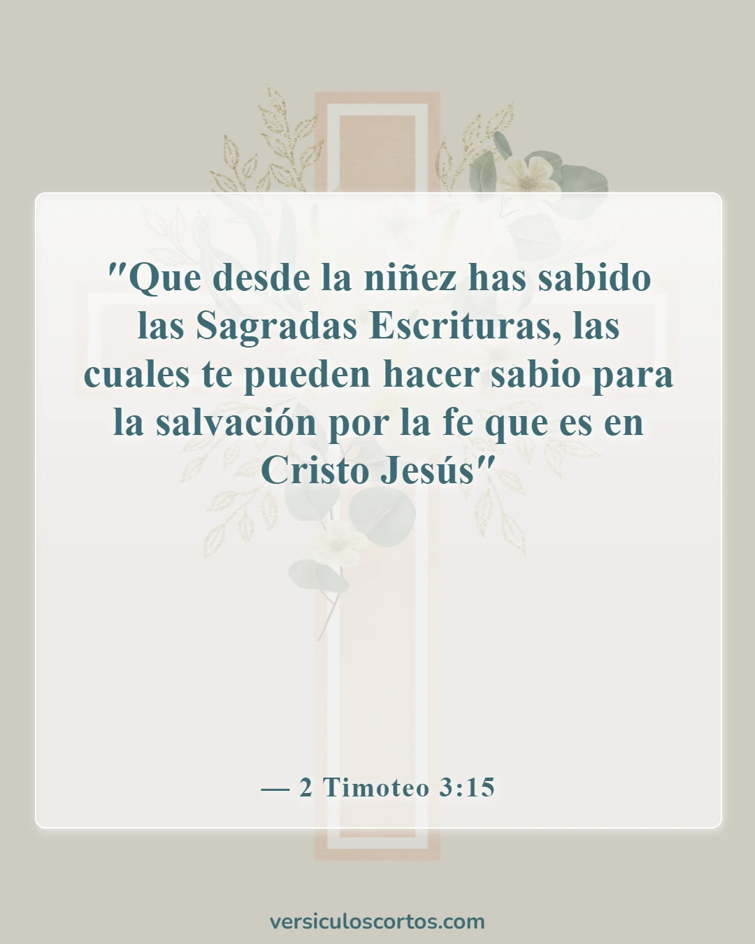 Versículos de la Biblia sobre bebés (2 Timoteo 3:15)