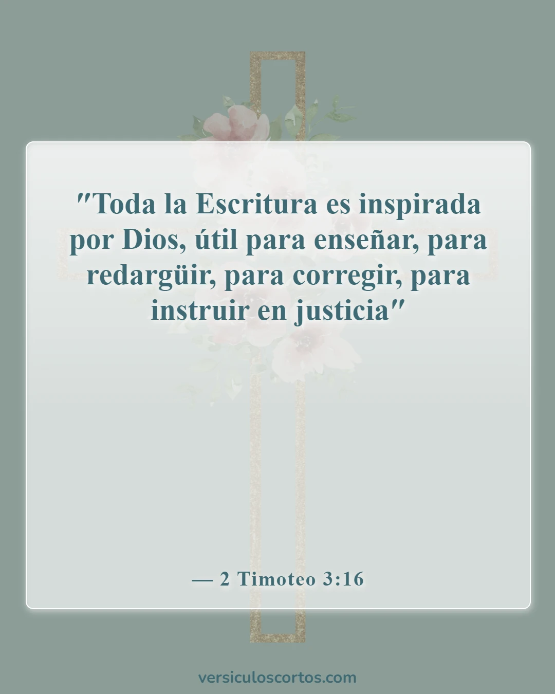 Versículos de la Biblia sobre salir con un no creyente (2 Timoteo 3:16)