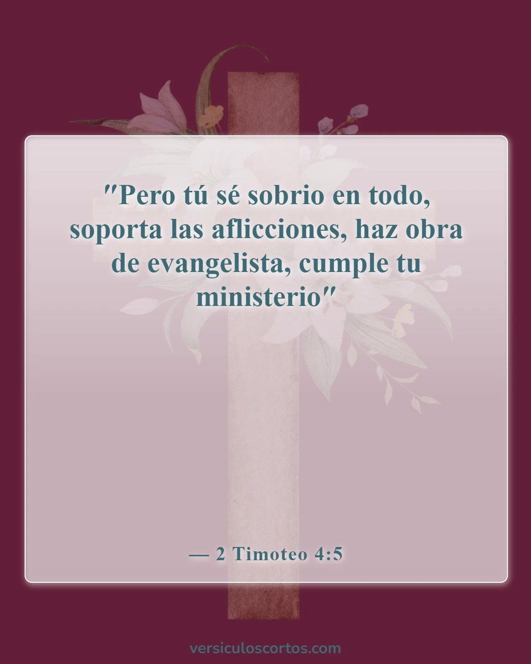 Versículos de la Biblia sobre el hombre de Dios (2 Timoteo 4:5)
