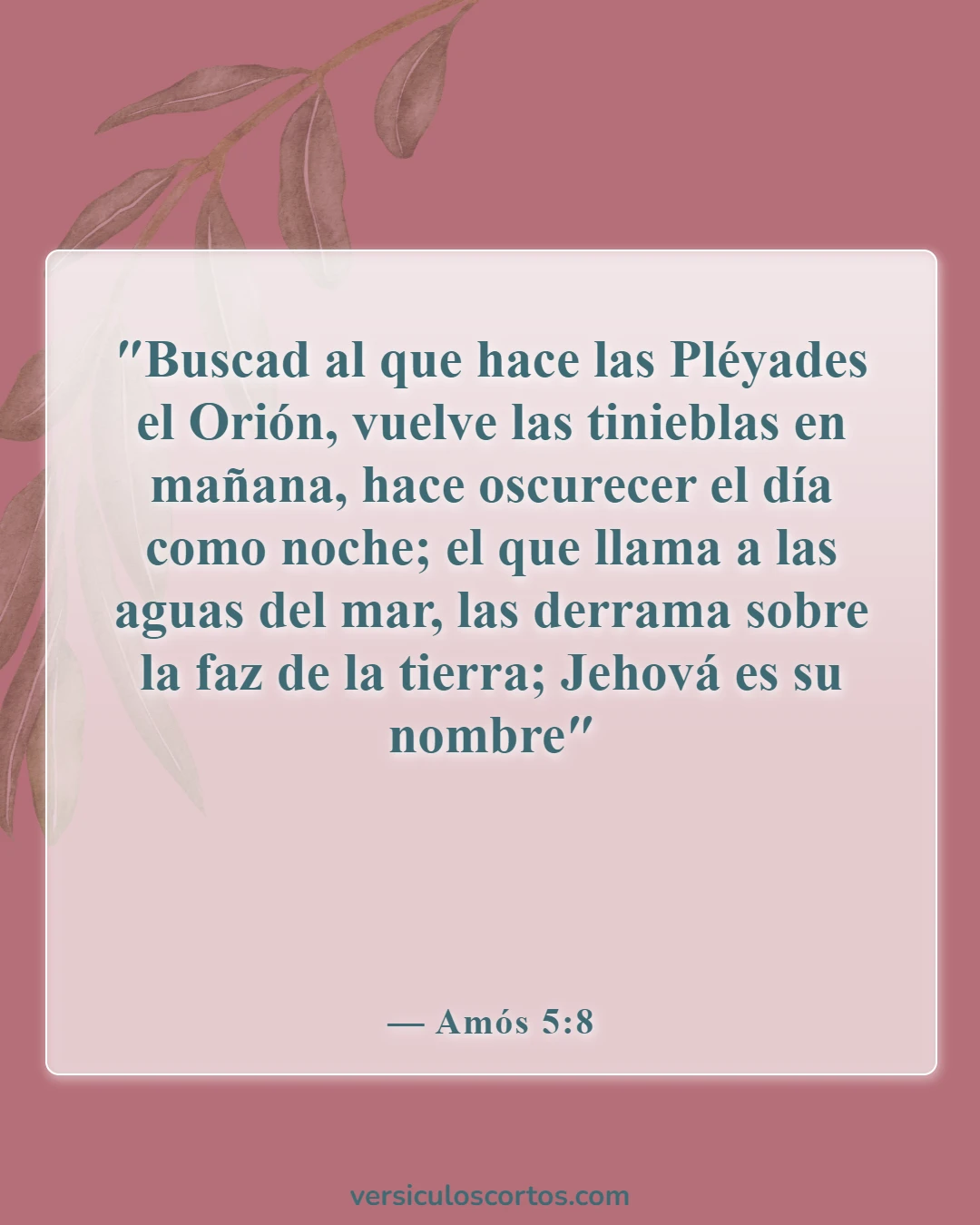 Versículos de la Biblia sobre Jehová (Amós 5:8)