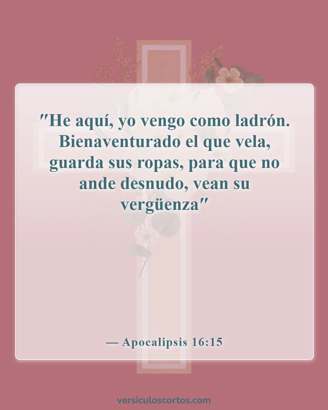 Versículos de la Biblia sobre la vuelta de Jesús (Apocalipsis 16:15)