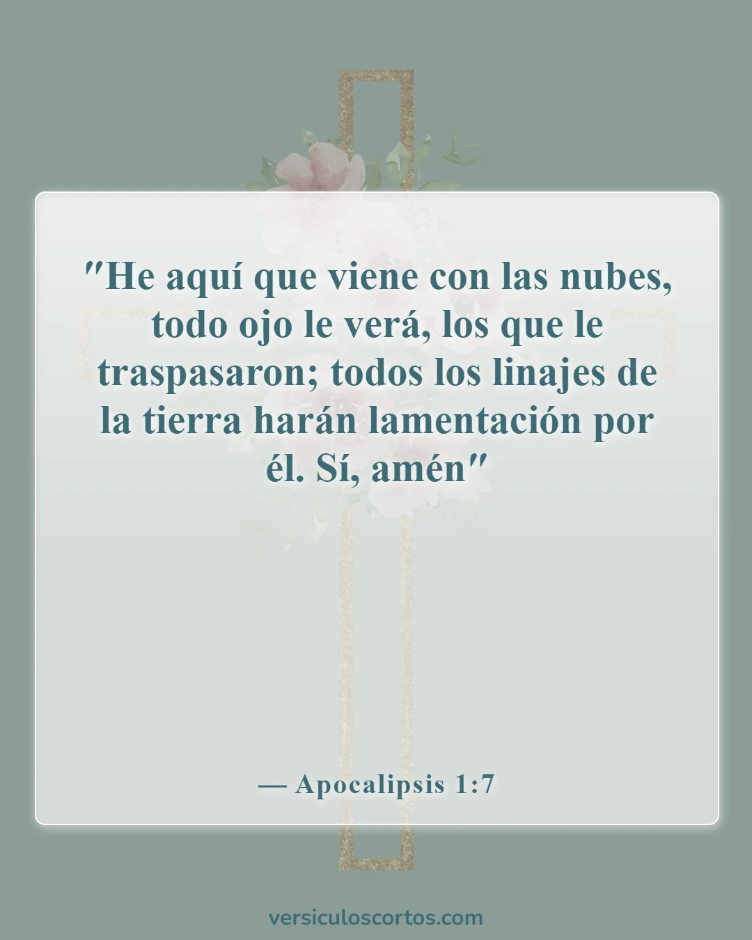 Versículos de la Biblia sobre la vuelta de Jesús (Apocalipsis 1:7)
