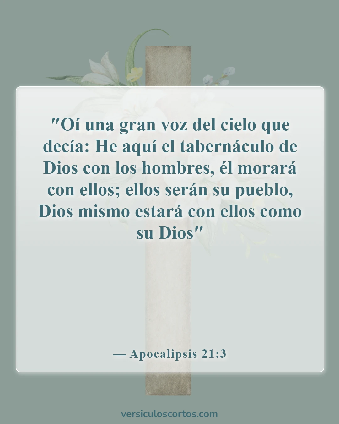 Versículos bíblicos sobre la presencia de Dios (Apocalipsis 21:3)