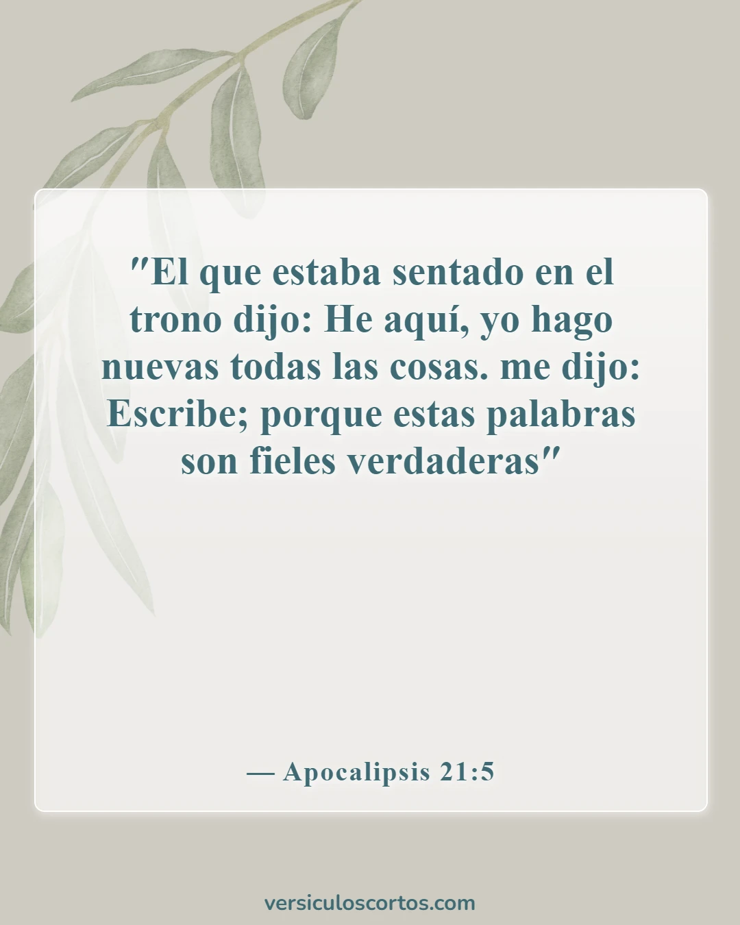 Versículos Bíblicos Sobre Cuerpos Glorificados (Apocalipsis 21:5)