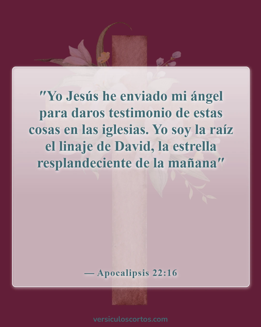 Versículos de la Biblia sobre Jesús como imagen de Dios (Apocalipsis 22:16)