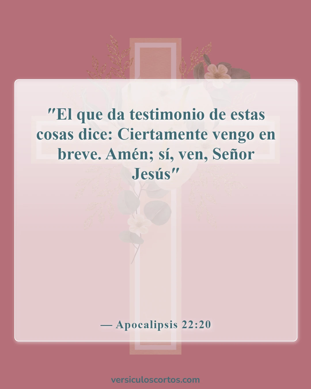 Versículos de la Biblia sobre la vuelta de Jesús (Apocalipsis 22:20)