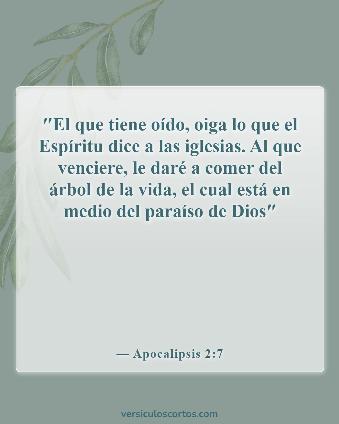 Versículos de la Biblia sobre la vida eterna (Apocalipsis 2:7)