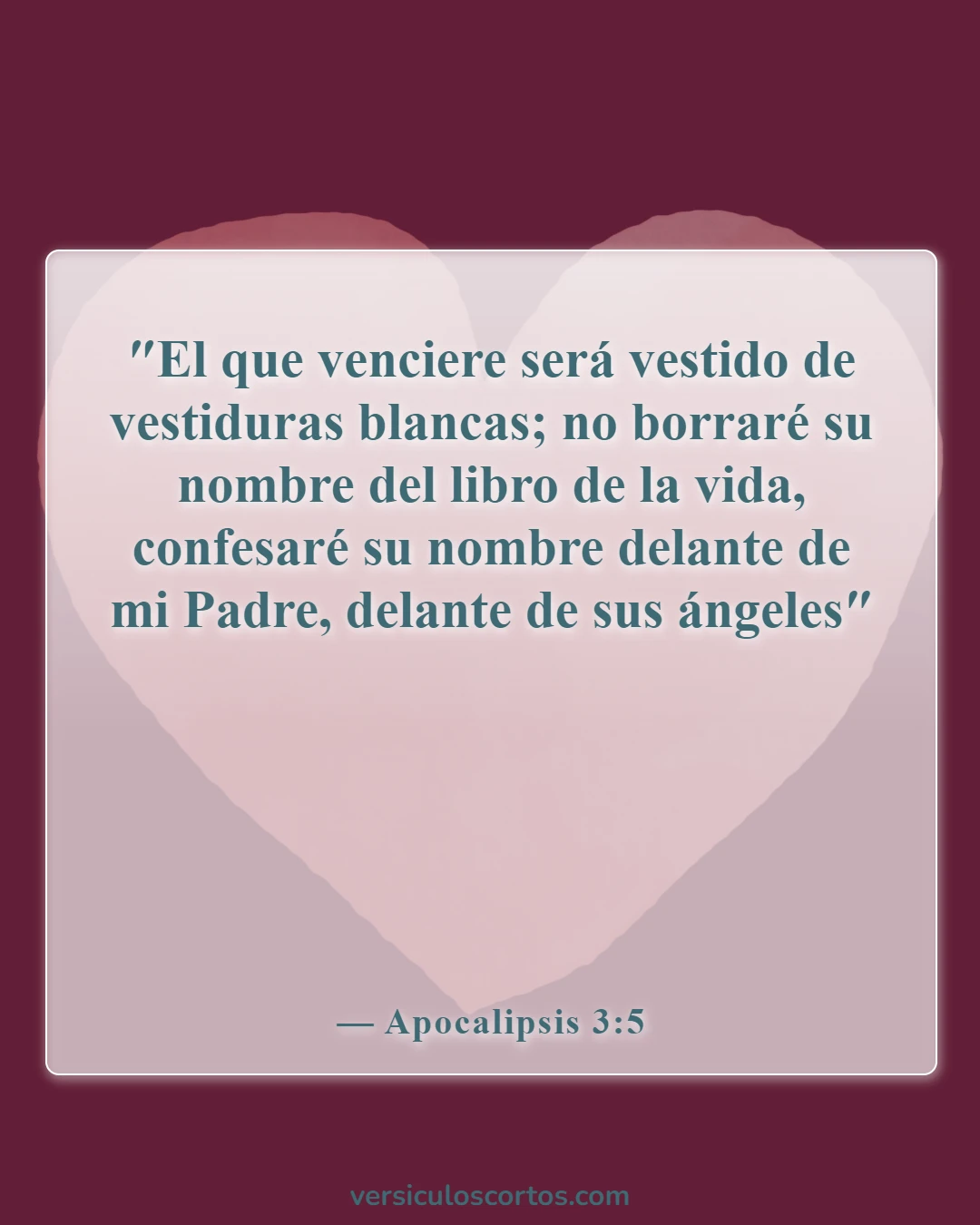 Versículos de la Biblia sobre la vida eterna (Apocalipsis 3:5)