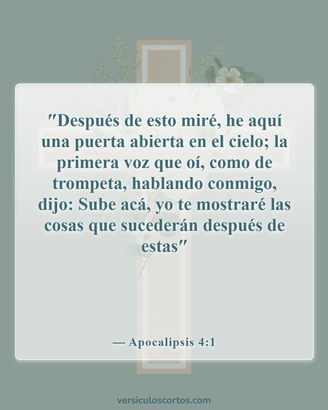 Versículos de la Biblia sobre sueños y visiones (Apocalipsis 4:1)
