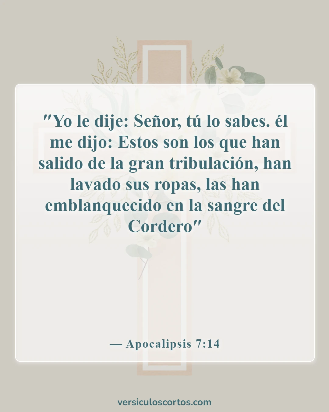 Versículos de la Biblia sobre la Sangre de Jesús (Apocalipsis 7:14)