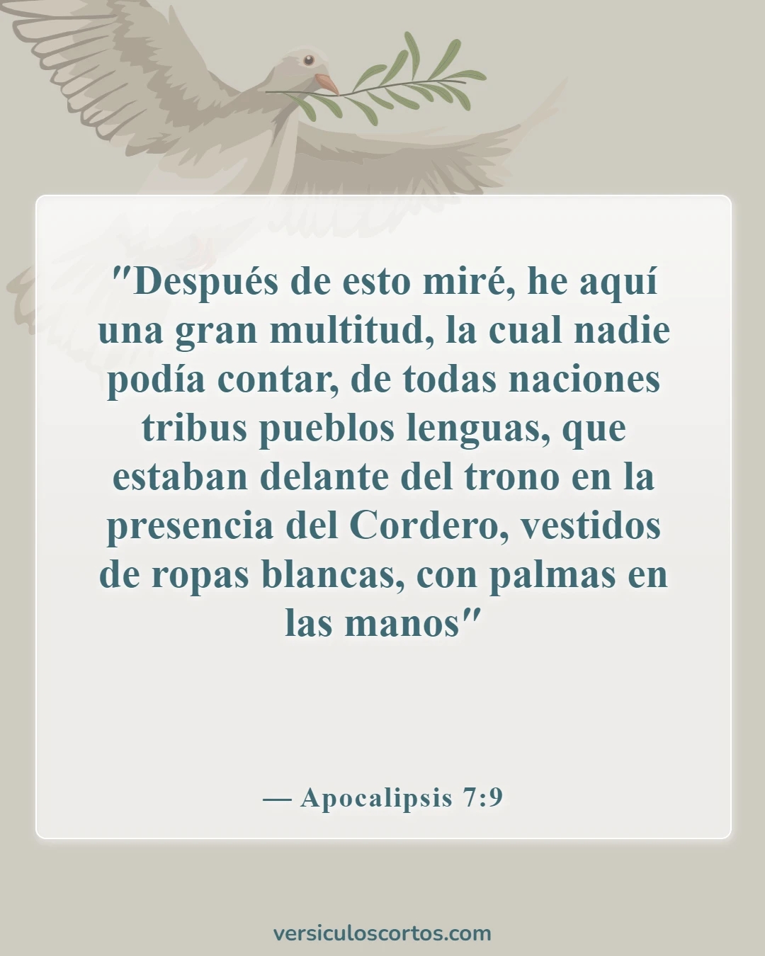 Versículos bíblicos sobre personas en el cielo (Apocalipsis 7:9)