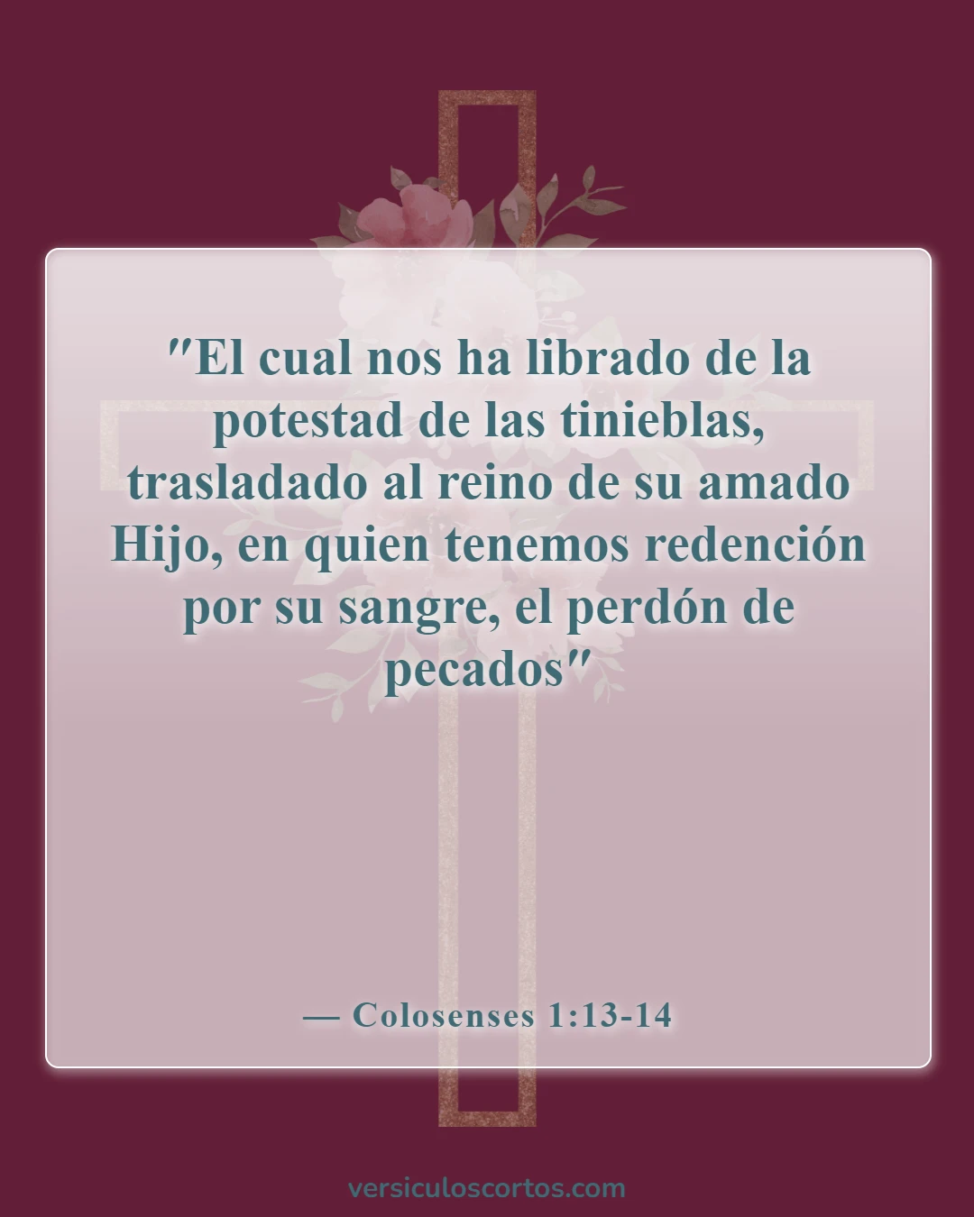 Versículos bíblicos sobre la salvación (Colosenses 1:13-14)