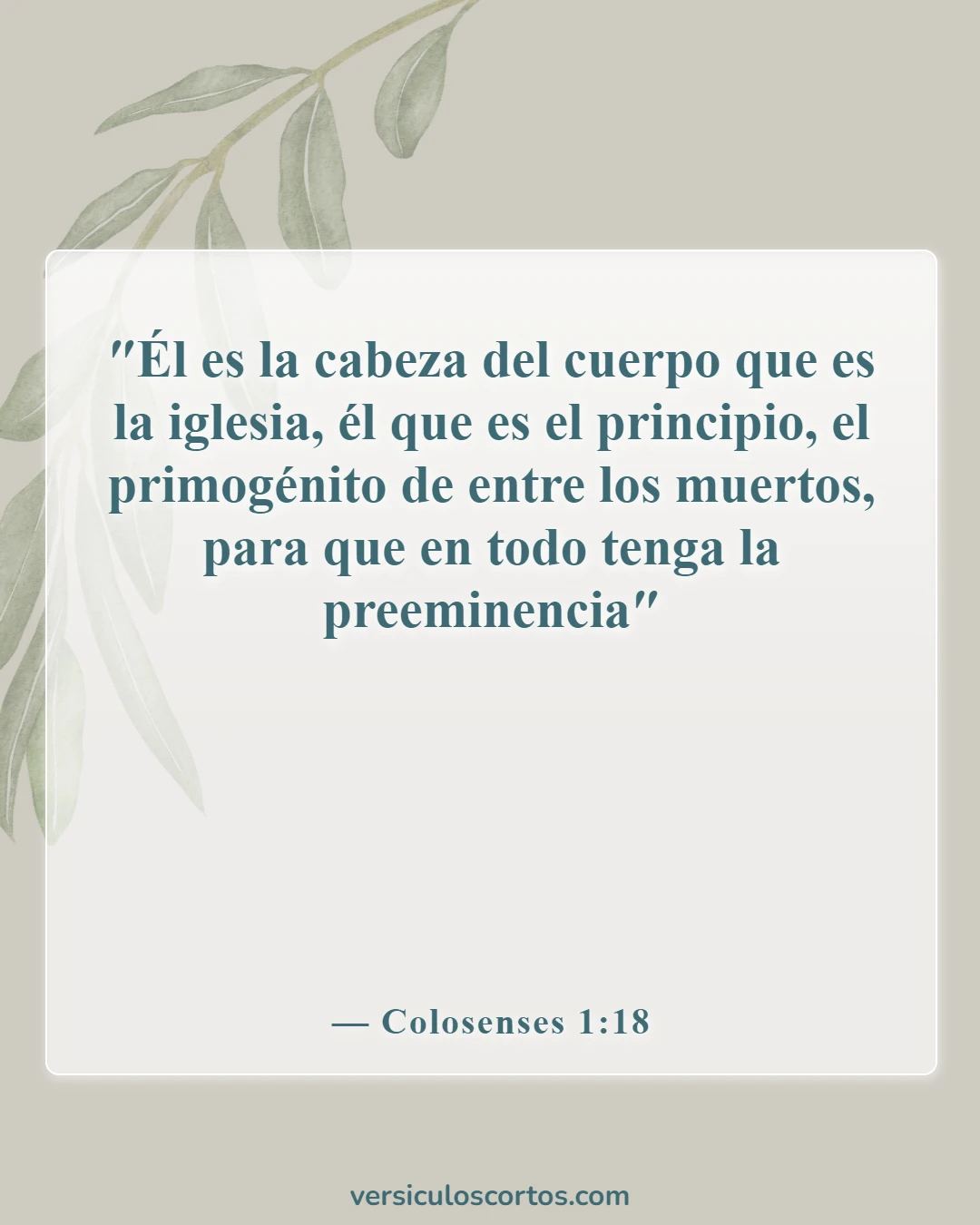 Versículos bíblicos sobre la exaltación de Cristo (Colosenses 1:18)