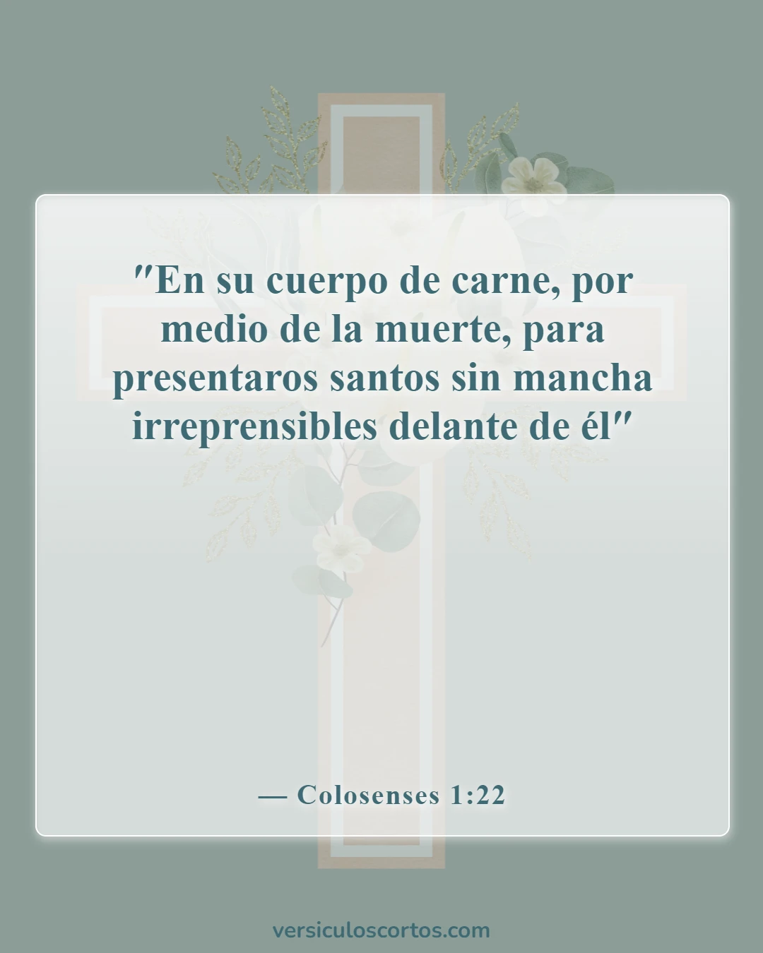 Versículos de la Biblia sobre cómo Dios me acepta (Colosenses 1:22)