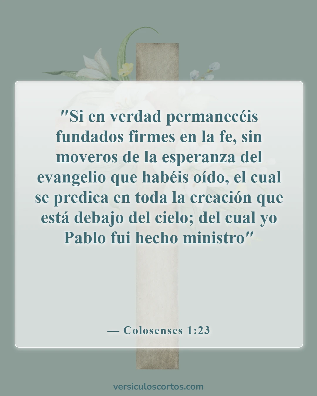 Versículos de la Biblia sobre la fe en Dios (Colosenses 1:23)